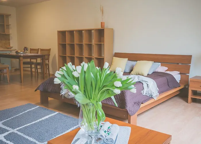 Apartamenty Przy Zamku