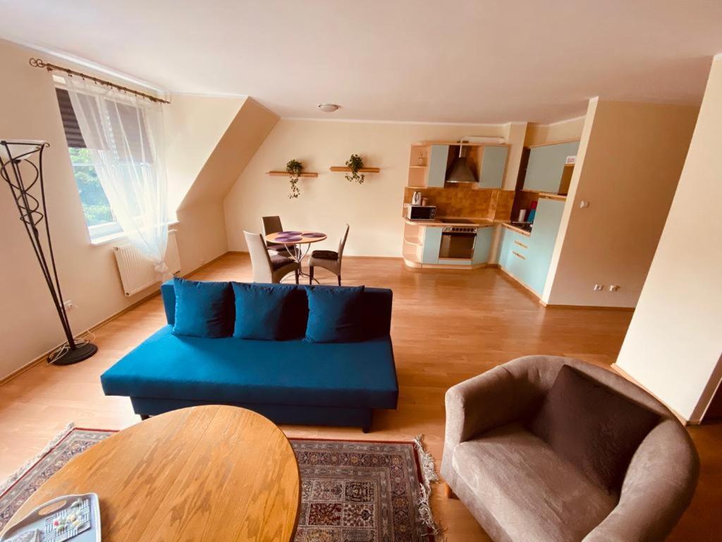 Przy Zamku Apartment *