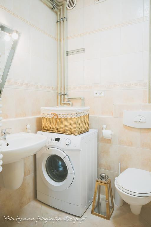 Przy Zamku Apartment *